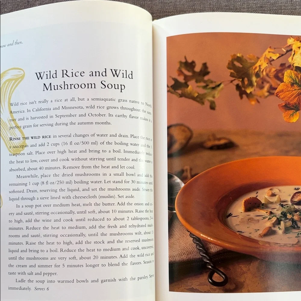 Vintage Williams Sonoma Nature's Bounty AUTUMN Hardcover Cookbook Color Photos